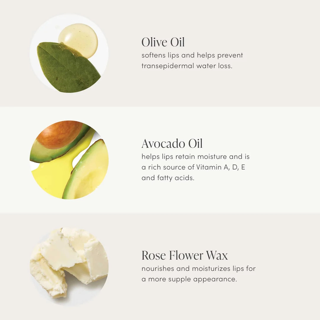 jane iredale Just Kissed ingredient graphic featuring olive oil, avocado oil and rose flower wax with descriptions of their lip-conditioning benefits.