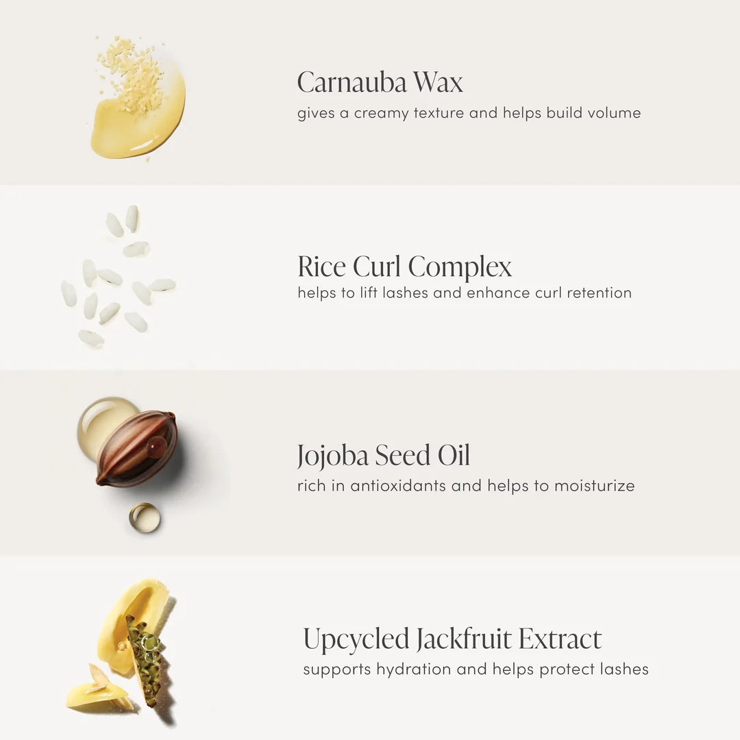 jane iredale Lash Fixation mascara ingredient graphic featuring carnauba wax, rice curl complex, jojoba seed oil and upcycled jackfruit extract.